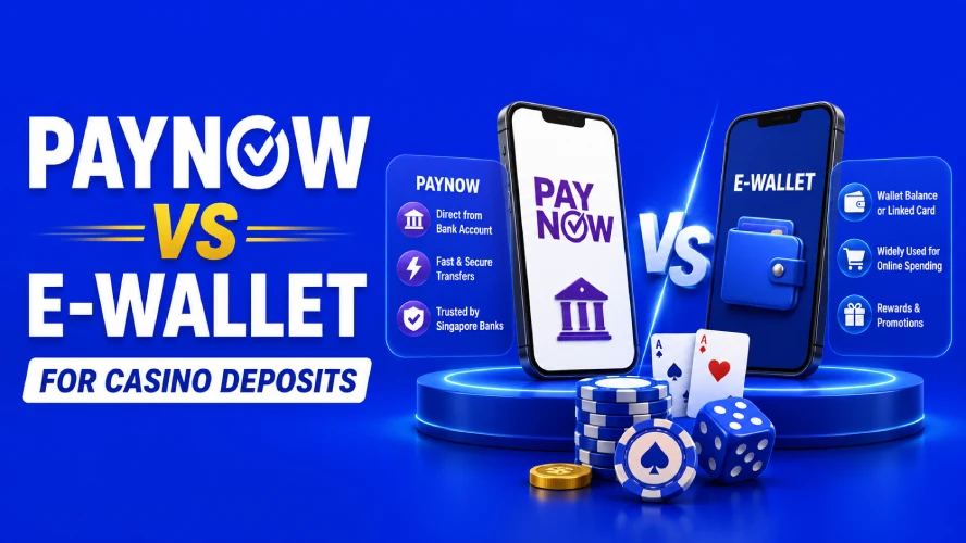 Paynow vs Ewallet